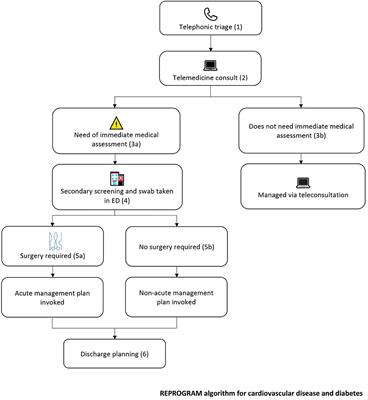 Key Strategies for Clinical Management and Improvement of Healthcare Services for Cardiovascular Disease and Diabetes Patients in the Coronavirus (COVID-19) Settings: Recommendations From the REPROGRAM Consortium